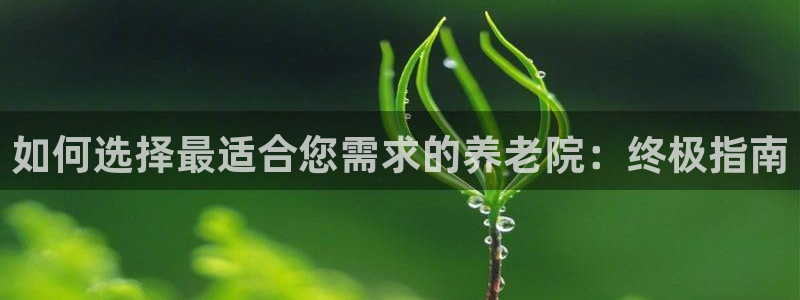 韦德网址是多少