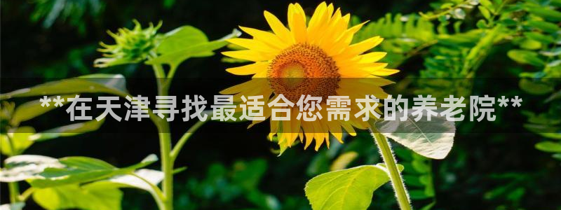 韦德1946体育官方入口