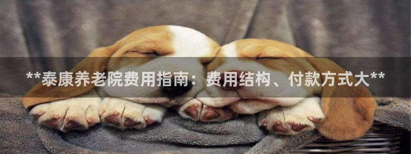 韦德观战总决赛G3