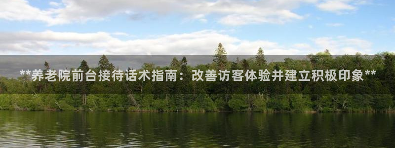 韦德网站是多少