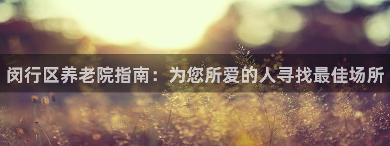 韦德网站是多少