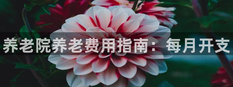 韦德1946手机网址