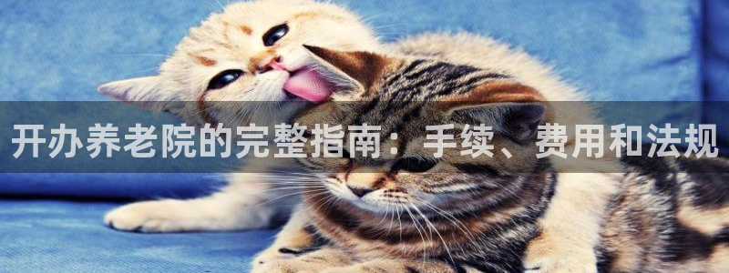 韦德app官方网站