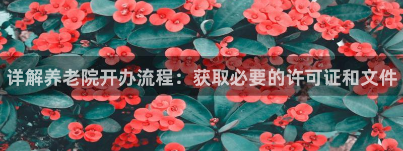 韦德官方网址大全