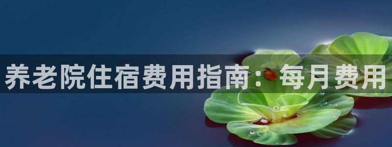 韦德官方网址大全