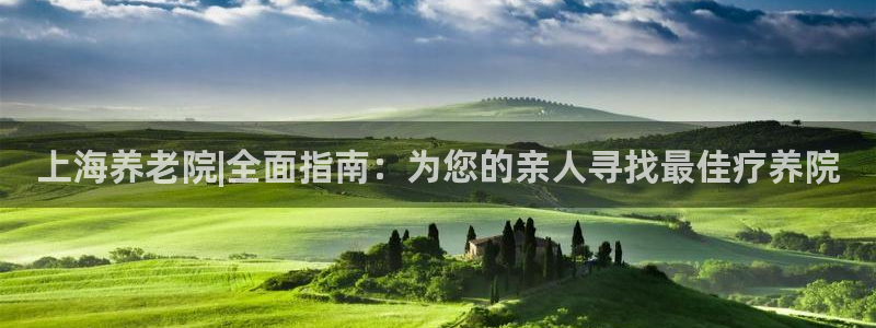 韦德网站是多少