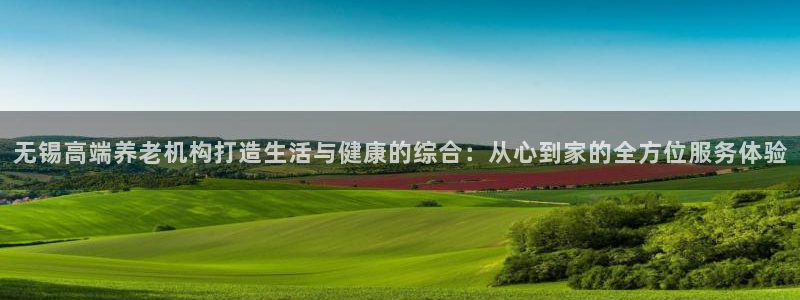 韦德官方网址大全