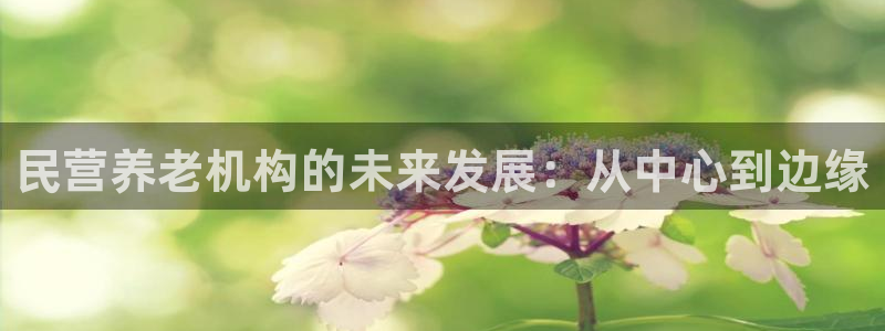 韦德官网注册推荐网站是什么