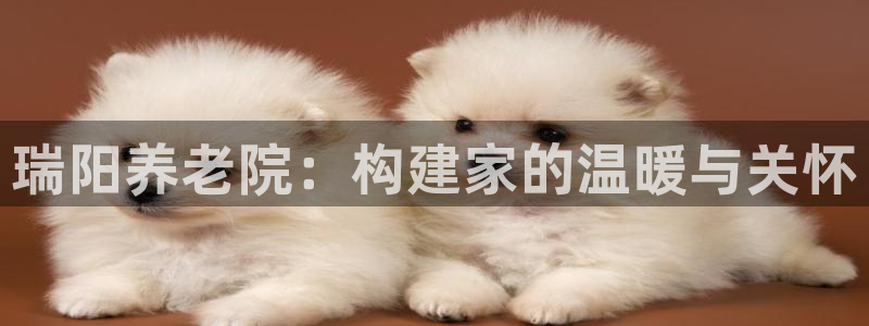 1946韦德找回密码