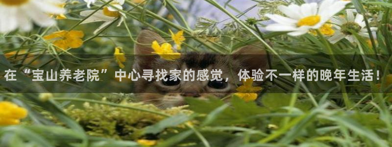 韦德观战总决赛G3