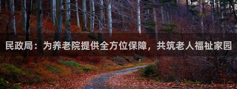 韦德观战总决赛G3