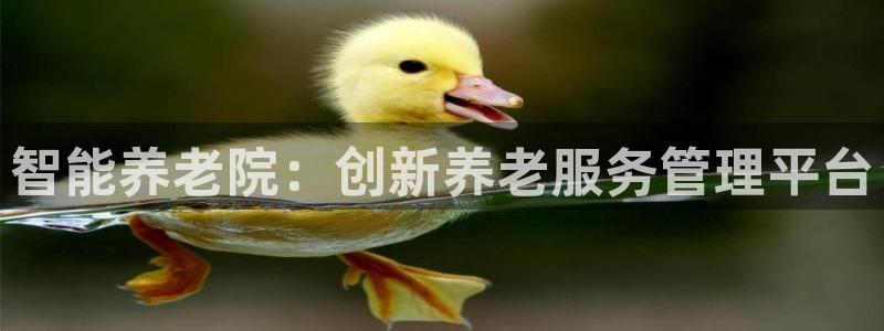 韦德8月22日开启中国行