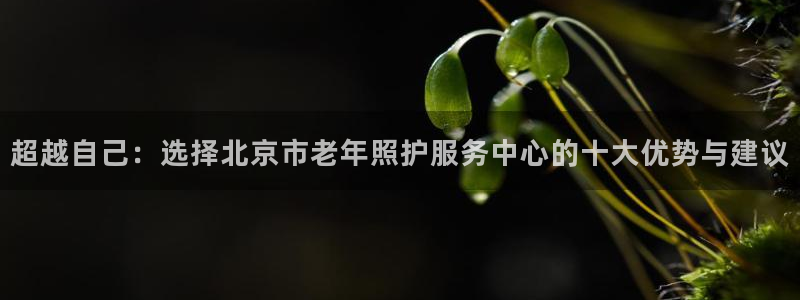 韦德观战总决赛G3